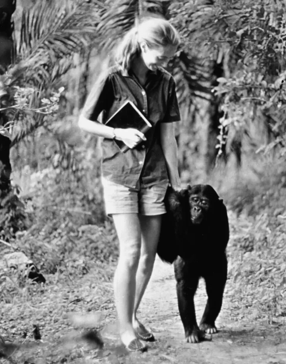 Monkey Business